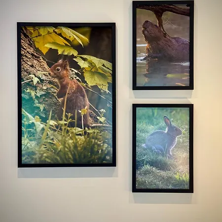 La Chouette 別荘 Érezée