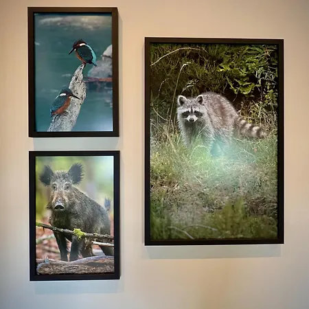 La Chouette Dom wakacyjny Érezée